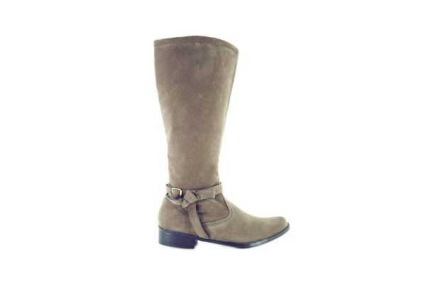 Bota